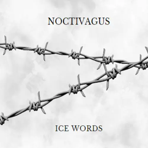 Noctivagus : Ice Words